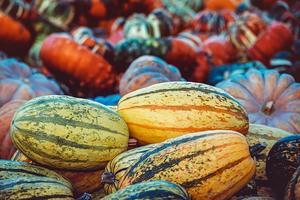Five ways to eat healthily this autumn