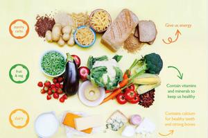 The five food groups: how to eat a balanced diet