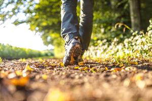 10 Health Benefits of walking
