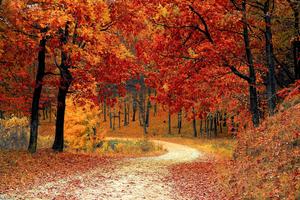 Battling the Autumn Blues